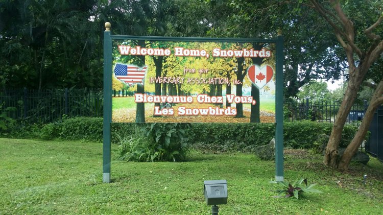 snowbirds